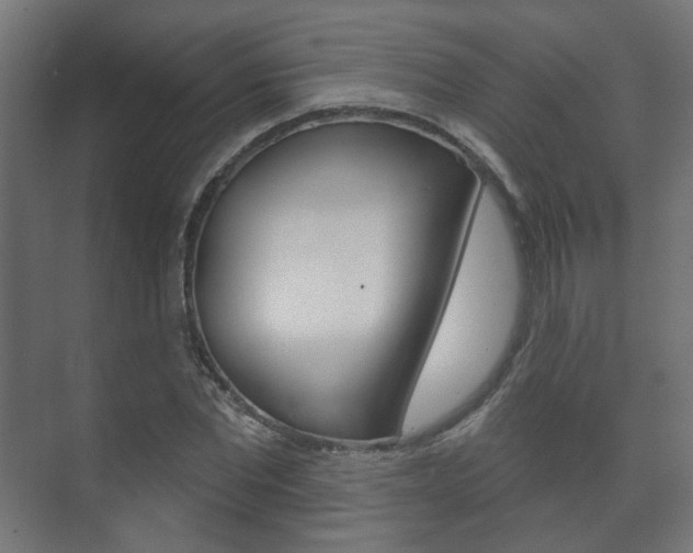 X0000073740877200608031107