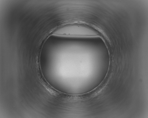 X0000073740881200608031107