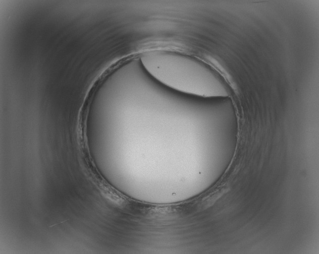 X0000073740883200608031107