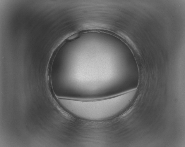 X0000073740885200608031107