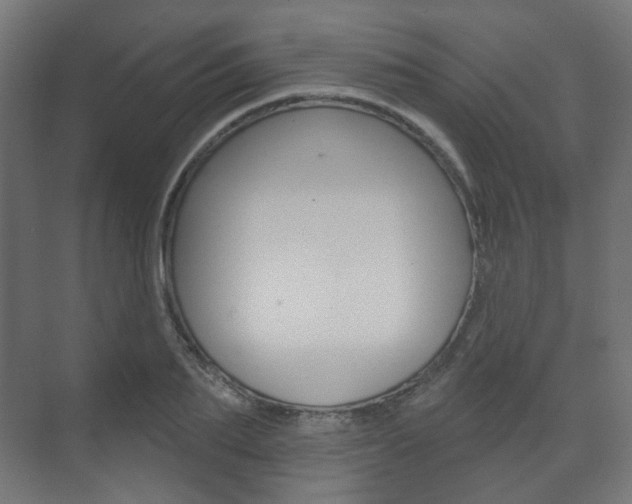 X0000073740887200608031107