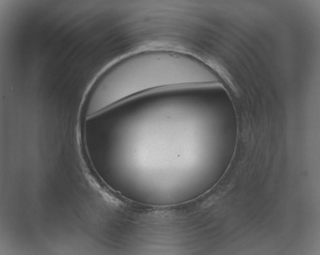 X0000073740888200608031107
