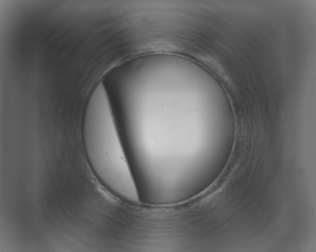 X0000073740889200608031107
