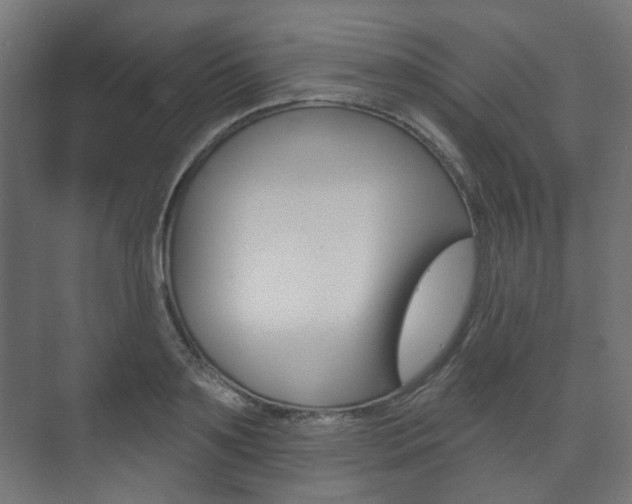 X0000073740891200608031106