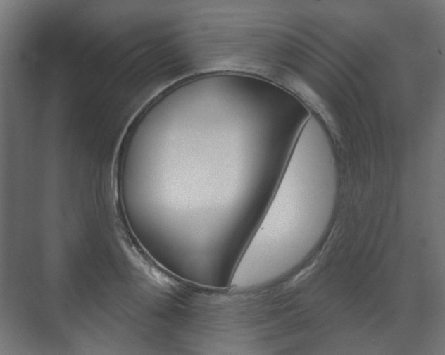 X0000073740892200608031106