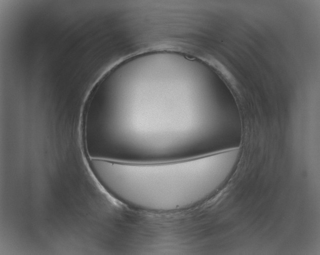X0000073740902200608031106