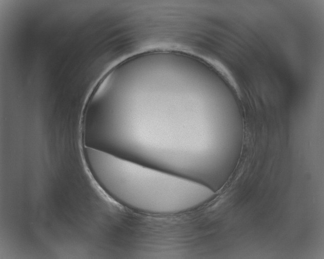 X0000073740903200608031106