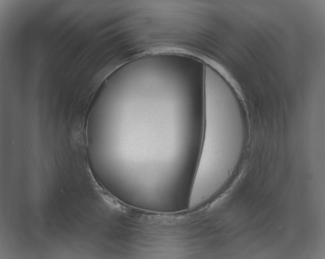 X0000073740905200608031106