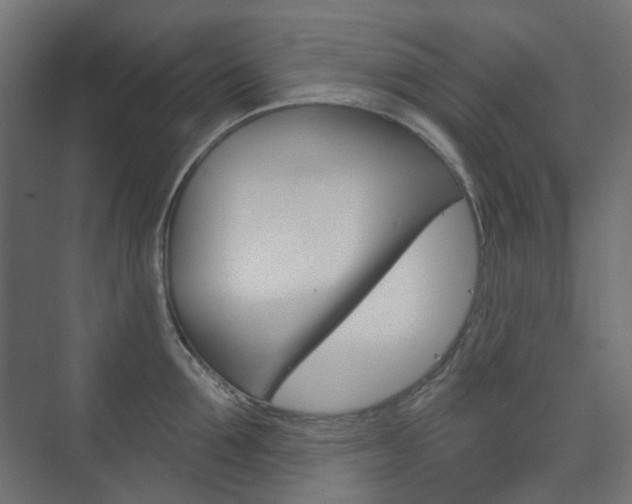 X0000073740907200608031106