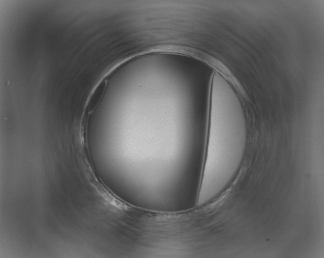X0000073740908200608031106