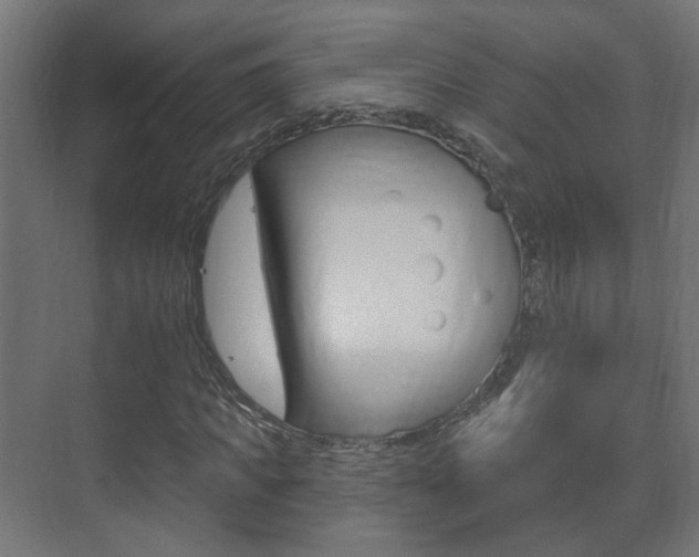 X0000073740917200608031105