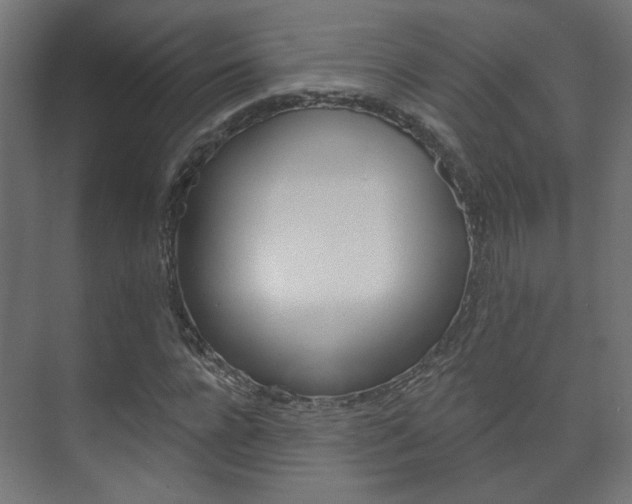 X0000073740920200608031105