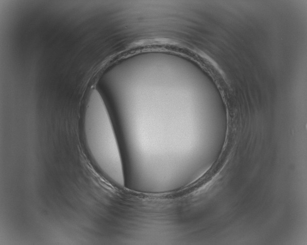 X0000073740921200608031105