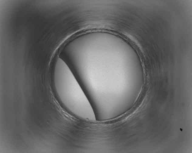 X0000073740925200608031106