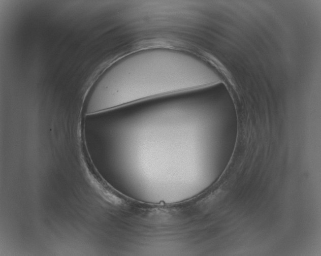 X0000073740938200608031106