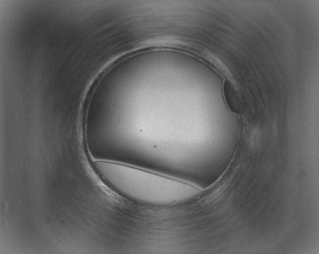 X0000073740939200608031106