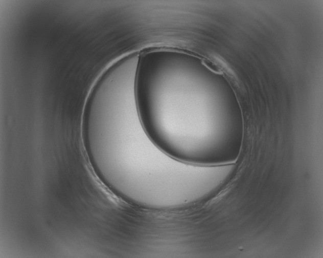 X0000073740940200608031106