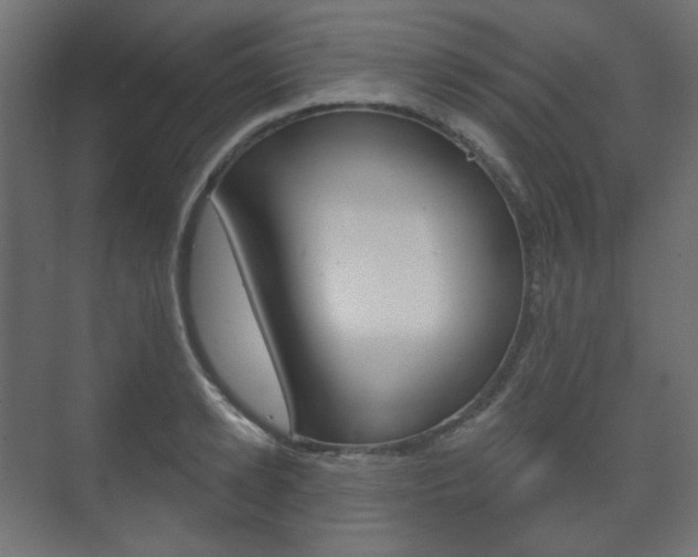 X0000073740942200608031106