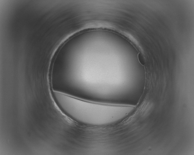 X0000073740943200608031106