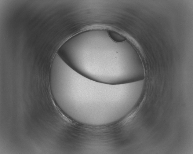 X0000073740953200608031106