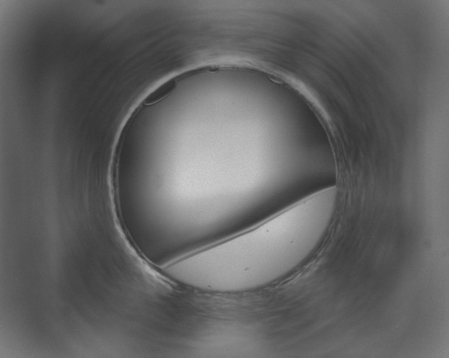 X0000073740959200608031106