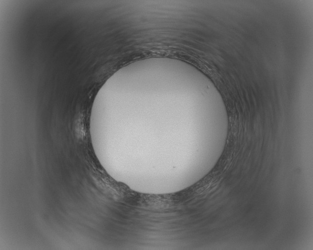 X0000073740962200608031105