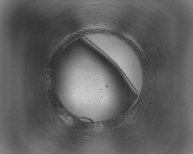 X0000073740968200608031105