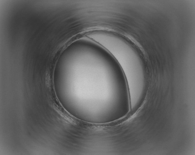 X0000073740969200608031105