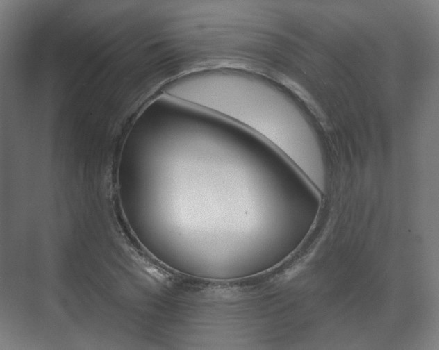 X0000073740977200608031105