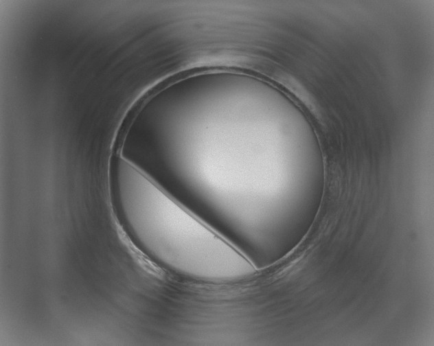 X0000073740980200608031105