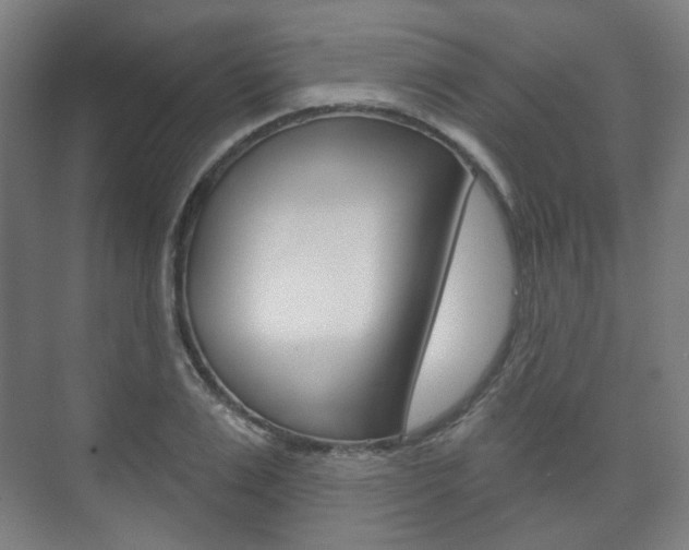 X0000073740983200608031105