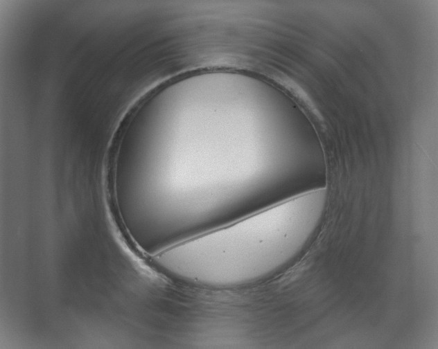 X0000073740991200608031105