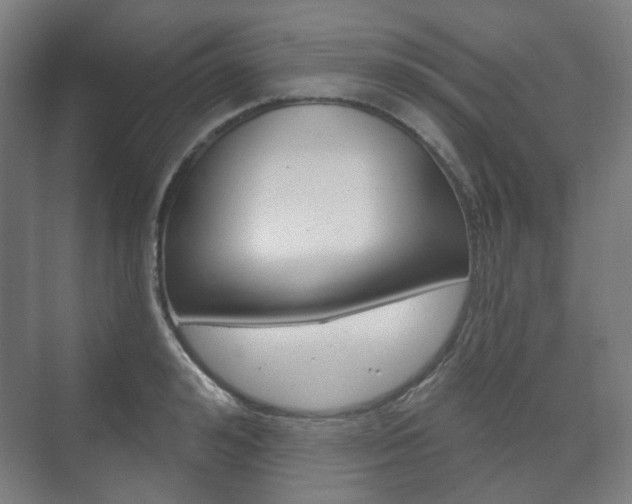 X0000073740992200608031105
