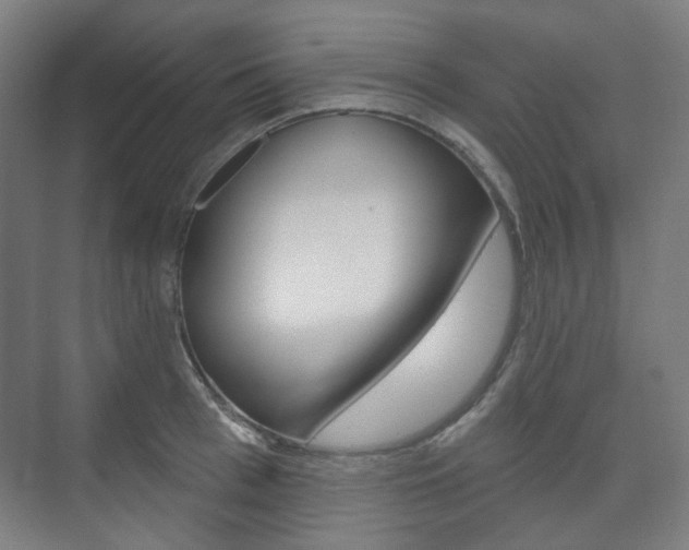 X0000073740993200608031105