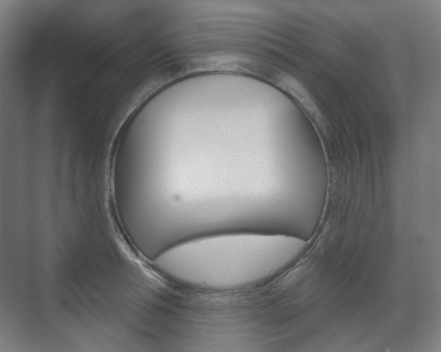 X0000073740994200608031105