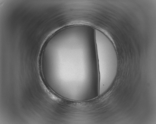 X0000073740995200608031105