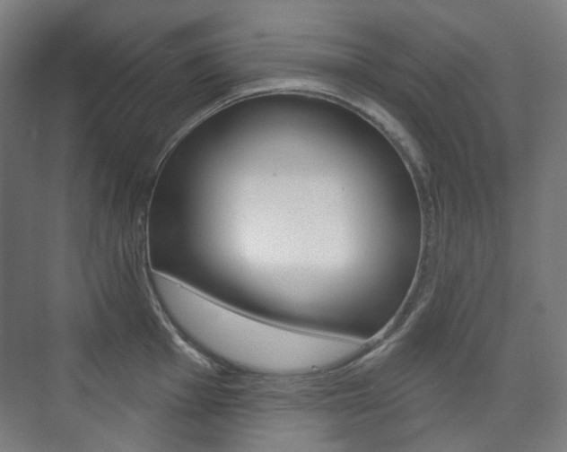 X0000073741001200608031105