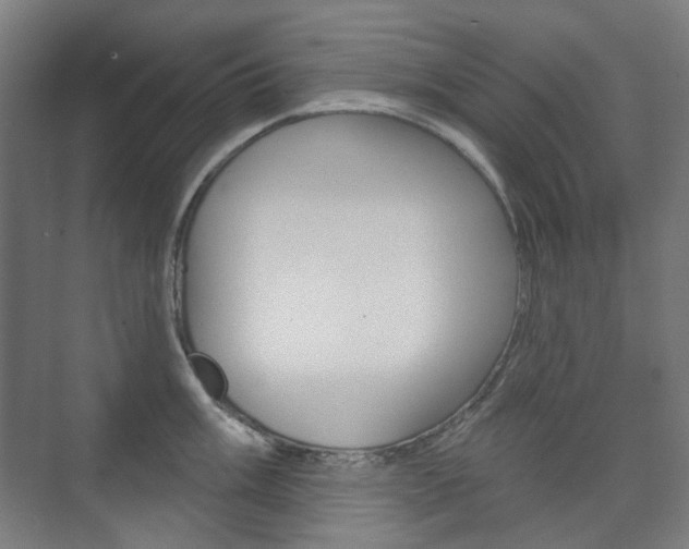 X0000073741003200608031105