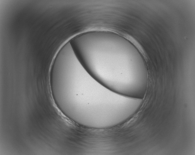 X0000073741004200608031105