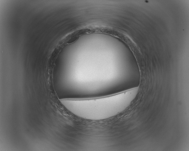 X0000073741016200608031104