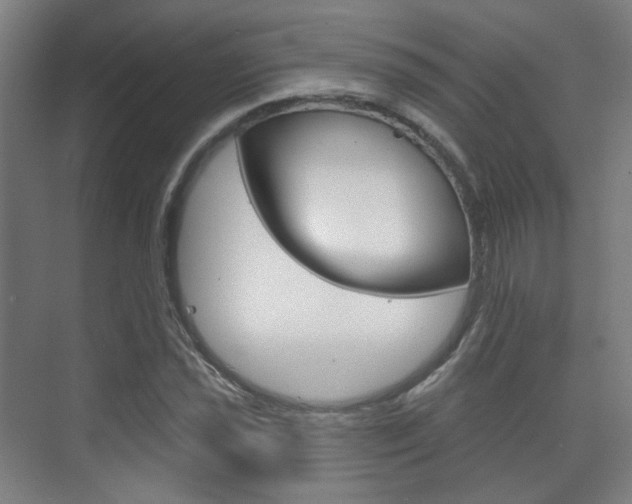 X0000073741021200608031104