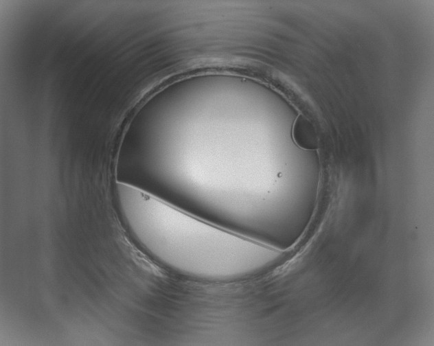X0000073741025200608031104