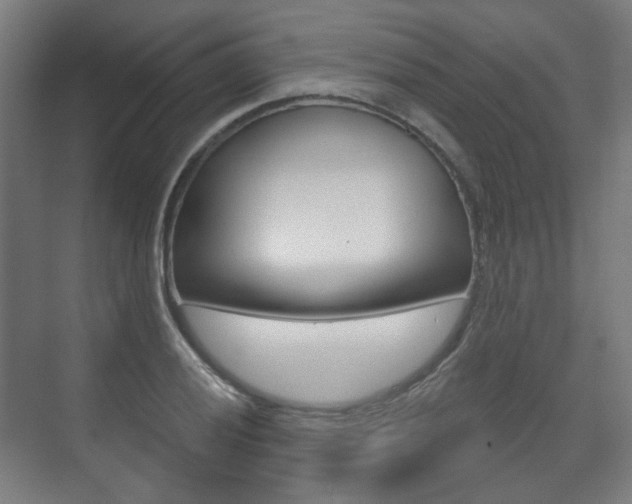 X0000073741028200608031104