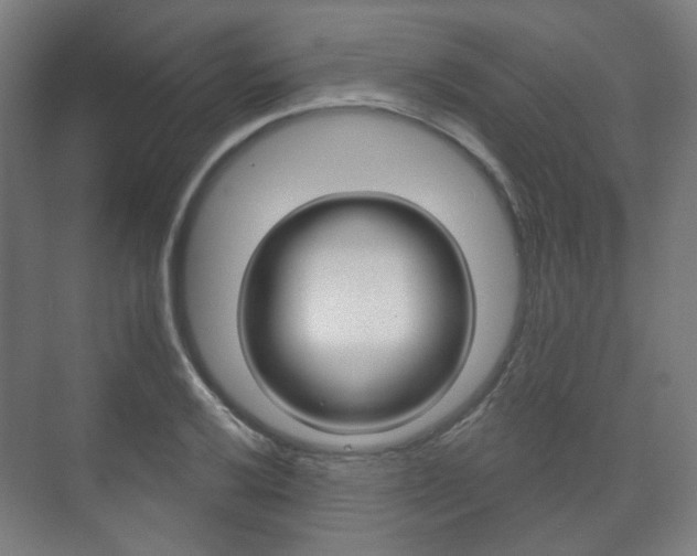 X0000073741032200608031104