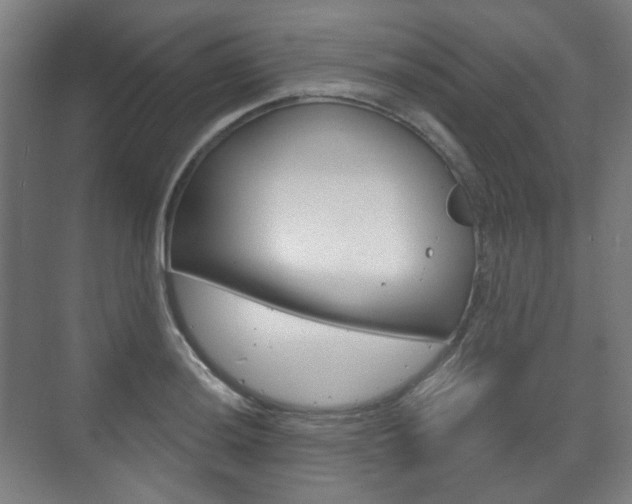 X0000073741036200608031104