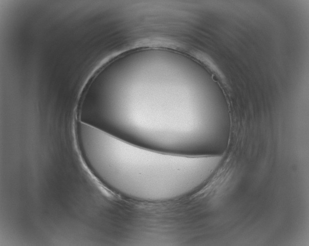 X0000073741040200608031104