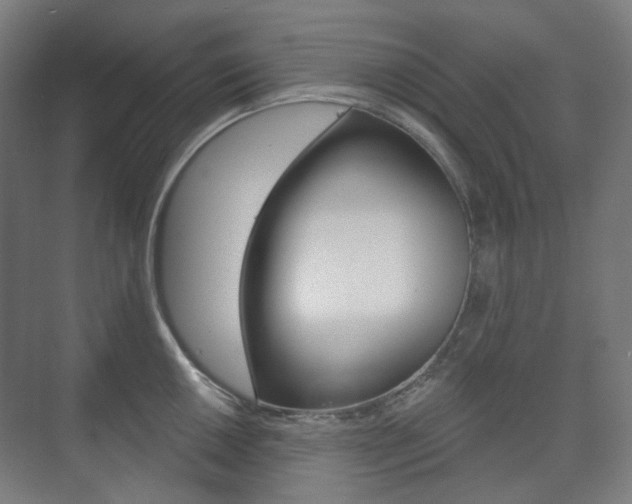 X0000073741050200608031104