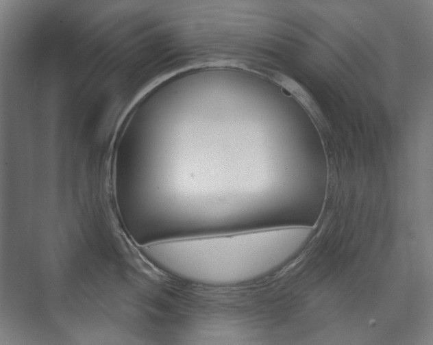 X0000073741052200608031104