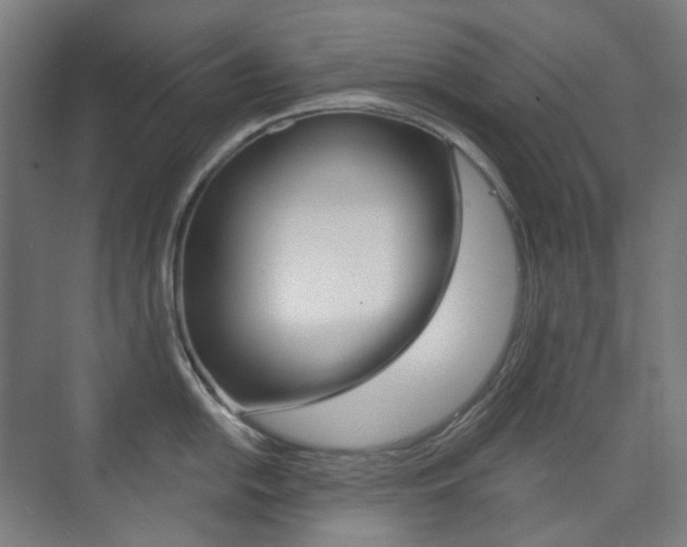 X0000073741054200608031104