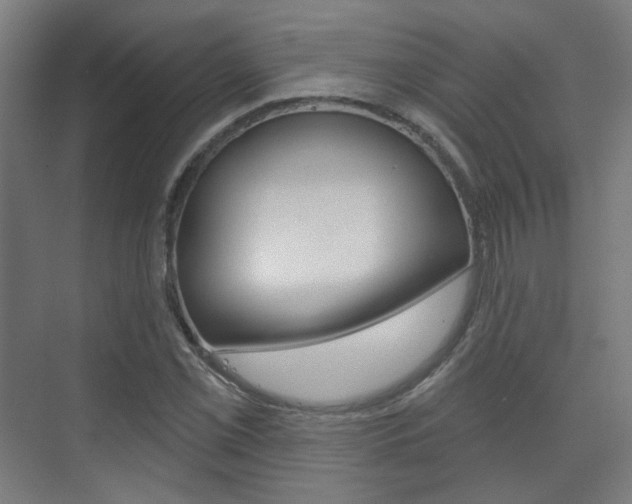 X0000073741069200608031104